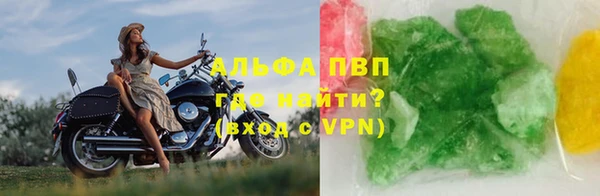 трава Белокуриха