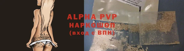 трава Белокуриха