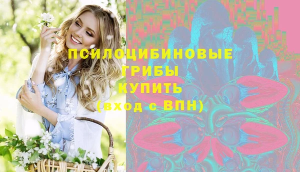 гидропоника Белоозёрский