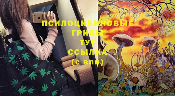 синтетический гашиш Богородицк