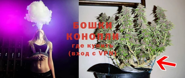 гидропоника Белоозёрский