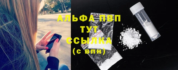 трава Белокуриха