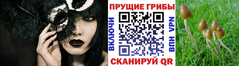 Галлюциногенные грибы Magic Shrooms  купить наркоту  Калининец 