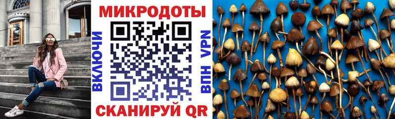 Галлюциногенные грибы Cubensis Калининец